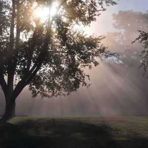 Meet your Posher, Reva